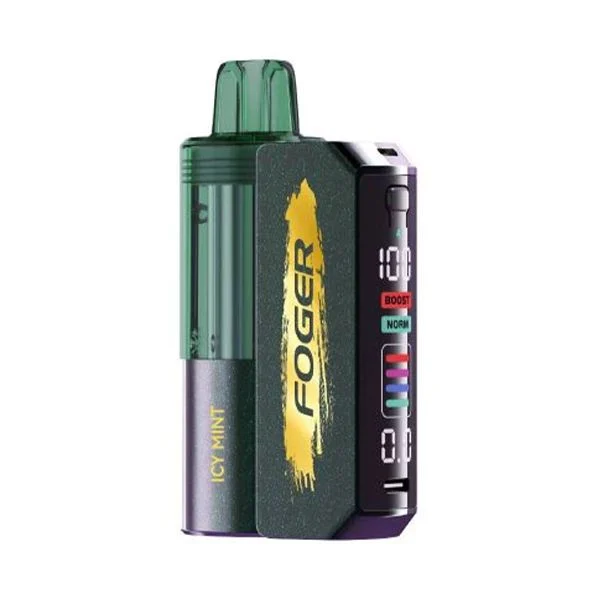 Foger - Switch Pro Kit - 30K Puffs - Icy Mint