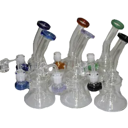  Waterpipe with cactus inside  - Assorted Colors