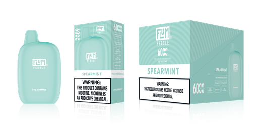 Flum - Pebble - 6000 - Spearmint