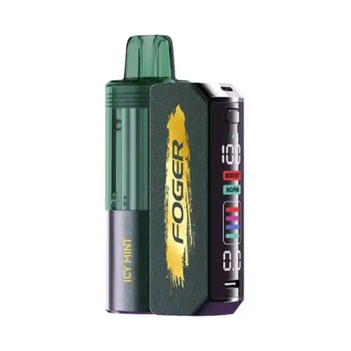Foger - Switch Pro Kit - 30K Puffs - Icy Mint